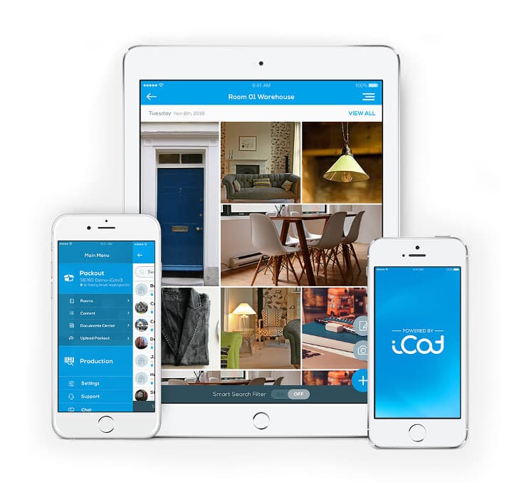 iCat field inventory customer-published product view